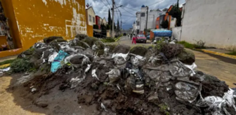 Abandono de alcaldesa Abigail Sánchez tras inundaciones en Chalco