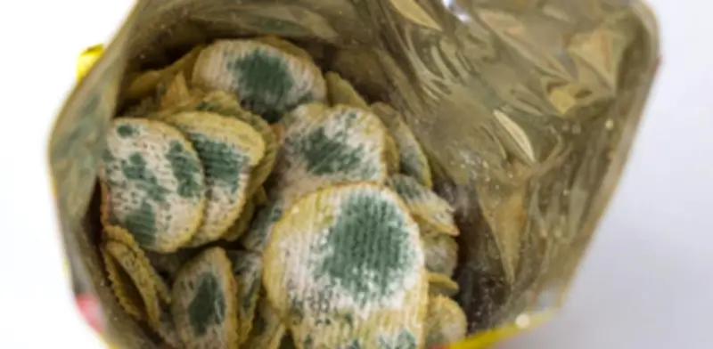 Alerta FDA: retiran papas fritas Zapp’s y Dirty por salmonela