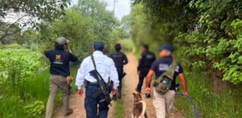Amplían búsqueda de trabajadores de CFE desaparecidos en Hidalgo y Puebla