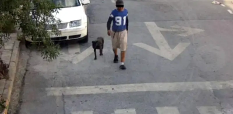 Detienen a hombre en Monterrey por incitar a sus perros a morder a mujer