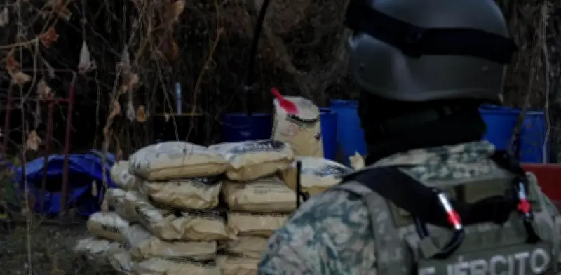 Ejército asegura precursores químicos por 29 mdp en Durango