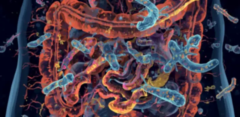 Estrés daña tu microbiota: inflamación silenciosa y cómo revertirla
