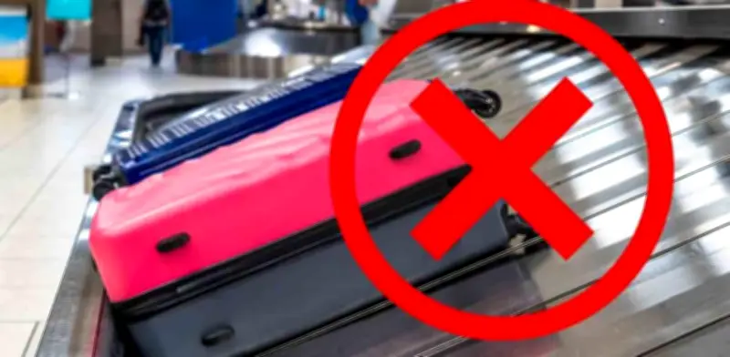 Guía de productos prohibidos para ingresar a México en 2026