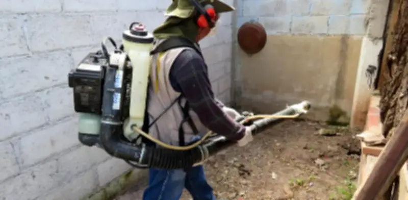 Hidalgo reporta solo cuatro casos de dengue en 2026 sin defunciones