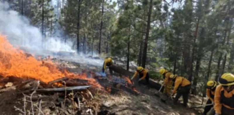 Incendio en Sierra de San Pedro Mártir consume 40 hectáreas; control al 40%