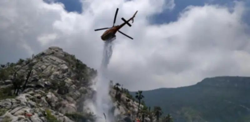 Incendio forestal liquidado en Cerro del Fraile, Nuevo León