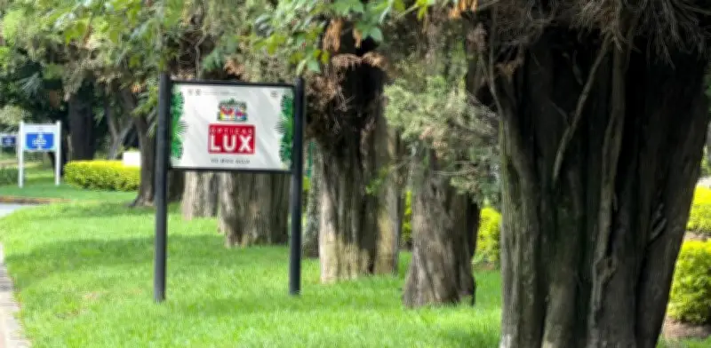 Mauricio Tabe reconoce a Ópticas Lux por cuidado de áreas verdes en Miguel Hidalgo