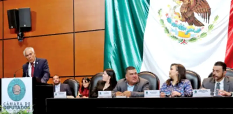 Morena propone fiscalizar zonas controladas por crimen organizado y proteger auditores