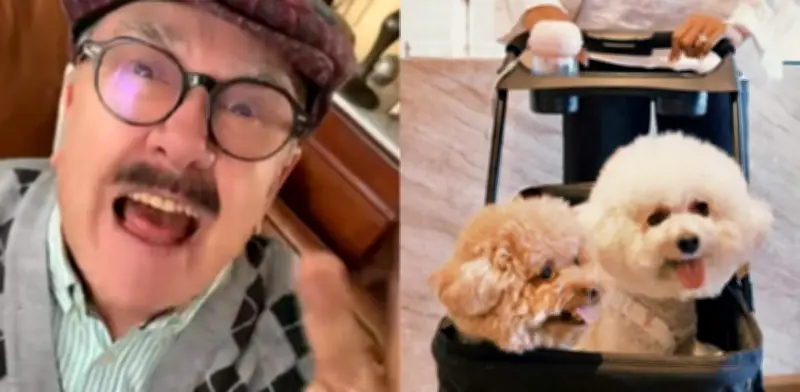 Pedro Sola indigna al decir que quiere "aventar carne envenenada" a perros