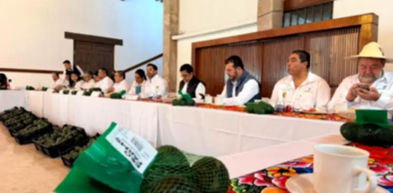 Productores de aguacate denuncian boicot de empresas estadounidenses