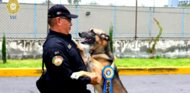 Se jubilan seis agentes caninos del sistema penitenciario de CDMX tras 8 años