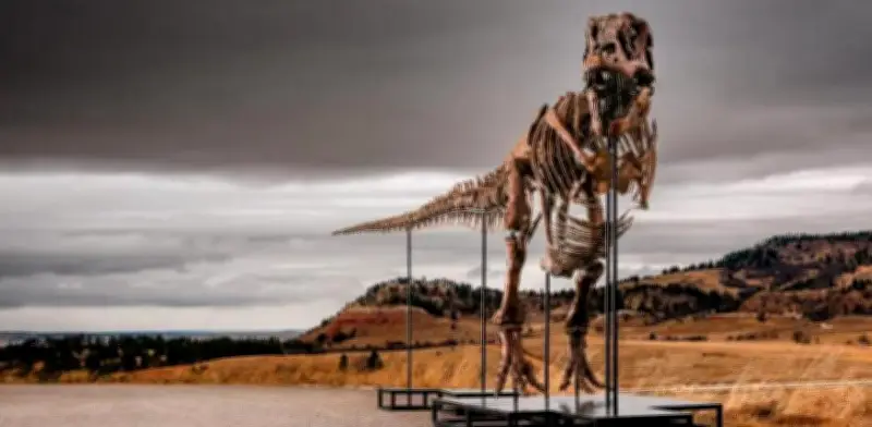 Subastan en NY a Gus, un T-Rex de 67 millones de años por hasta 30 mdd