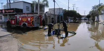 Lluvias en Torreón dejan encharcamientos, árboles caídos y apagones