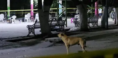 Venganza contra caciques, posible causa de ataque en Yautepec, Morelos