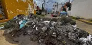 Abandono de alcaldesa Abigail Sánchez tras inundaciones en Chalco
