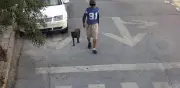 Detienen a hombre en Monterrey por incitar a sus perros a morder a mujer