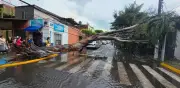 Inundaciones en Guadalajara: más de 100 autos afectados por lluvias