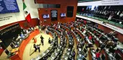 Reportan 7.6 millones de llamadas al 911 y 089 por presuntos delitos en México