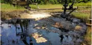 Suelos contaminados: riesgo penal y financiero para inversionistas